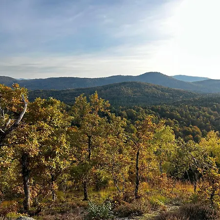 Glamping Brundo - Tents And With Sauna & Jacuzzi Kostel